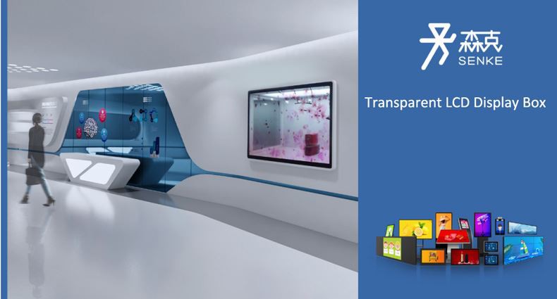 Nuevo diseño--Caja de visualización LCD transparente